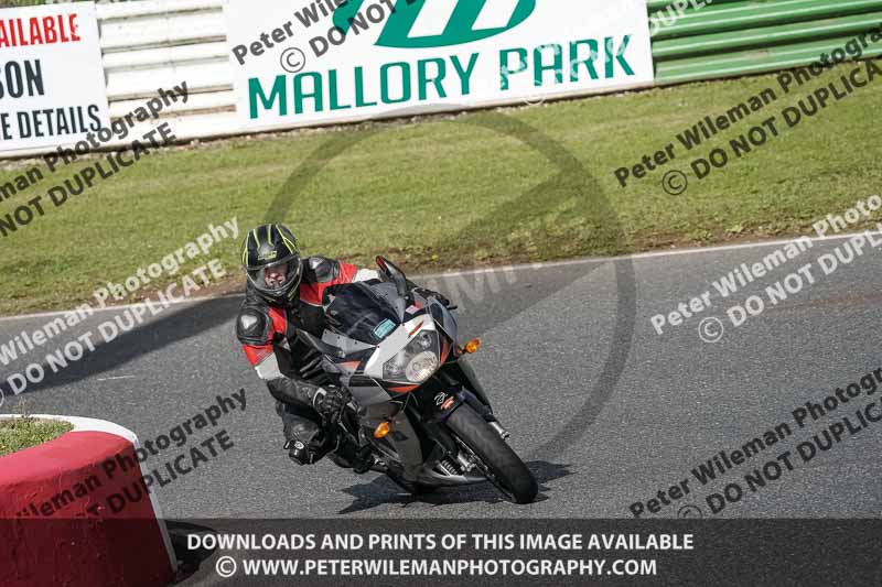 enduro digital images;event digital images;eventdigitalimages;mallory park;mallory park photographs;mallory park trackday;mallory park trackday photographs;no limits trackdays;peter wileman photography;racing digital images;trackday digital images;trackday photos